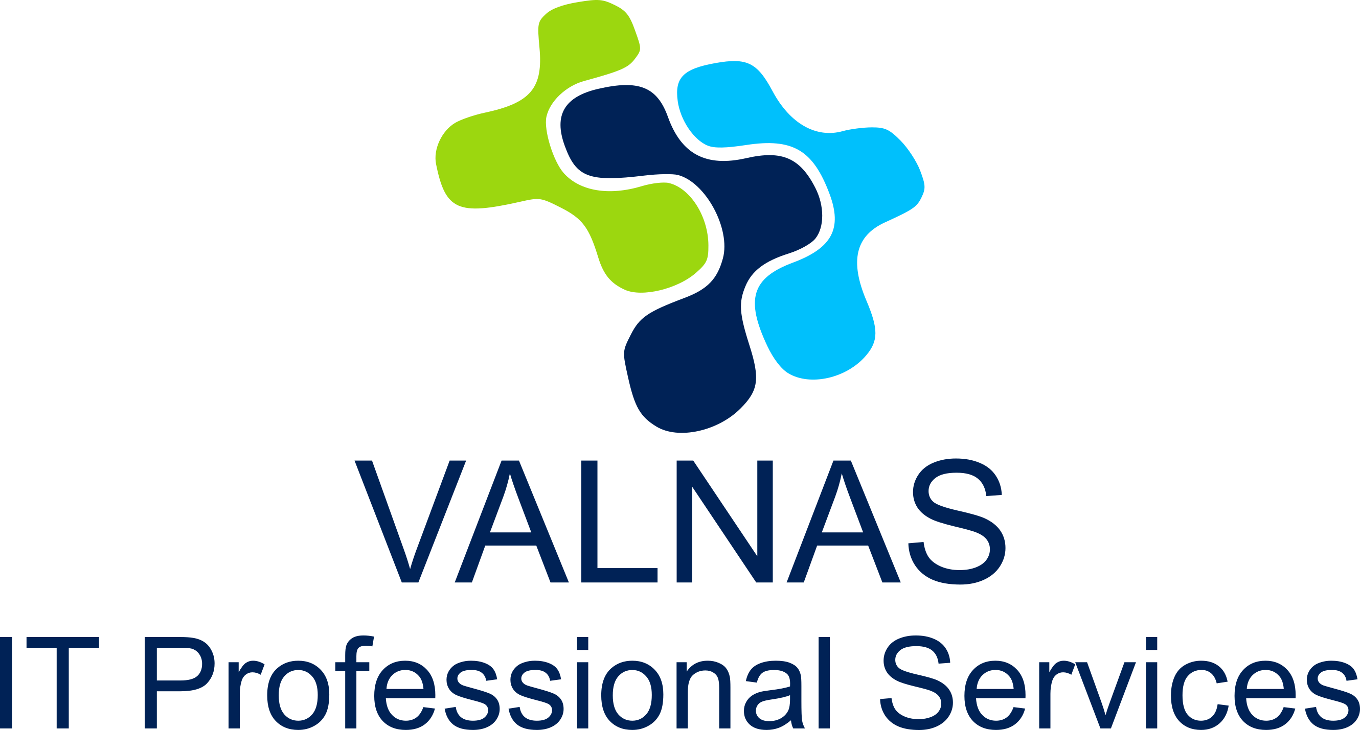 Valnas IT Professional Services